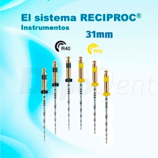 lima endodoncia reciproc 31mm