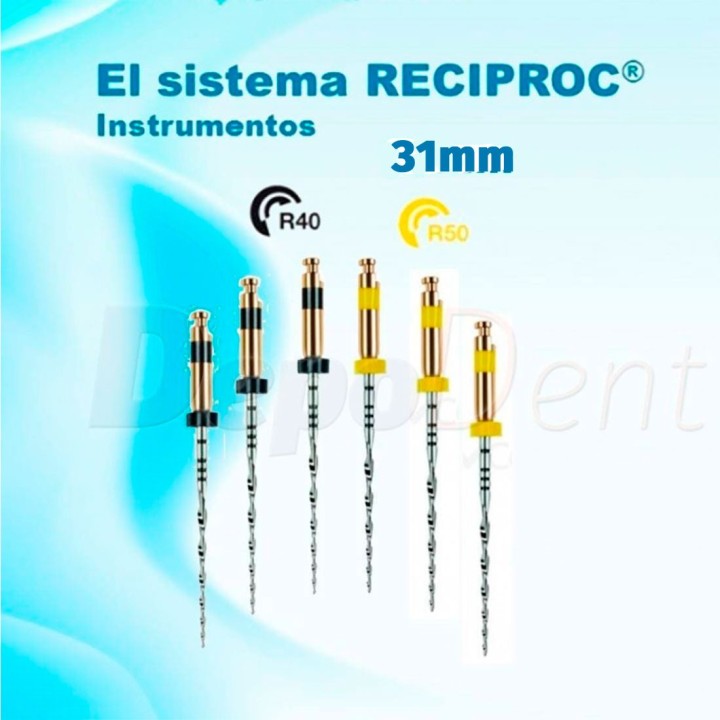 lima endodoncia reciproc 31mm