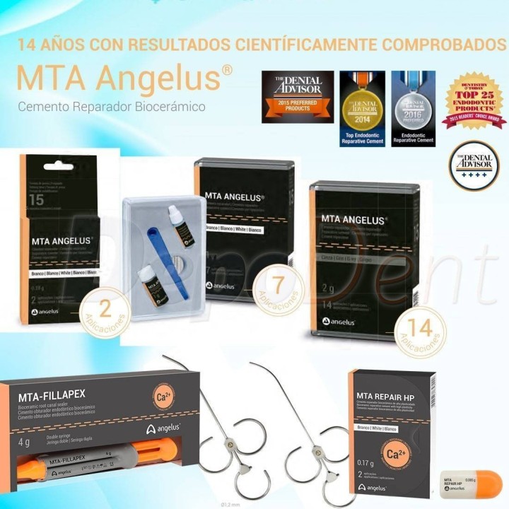 MTA Angelus cemento reparador en versión gris y blanca