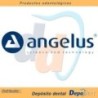Angelus | MTA, biocerámicos y endodoncia dental